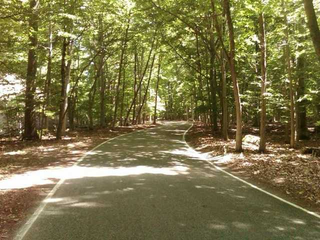 winding road tunnel of trees.jpg